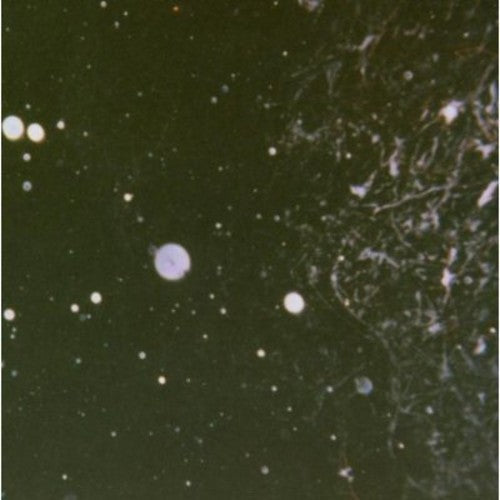 Azrael - Into Shadows Act II: Through Horned Shadows Glimpse Music CD