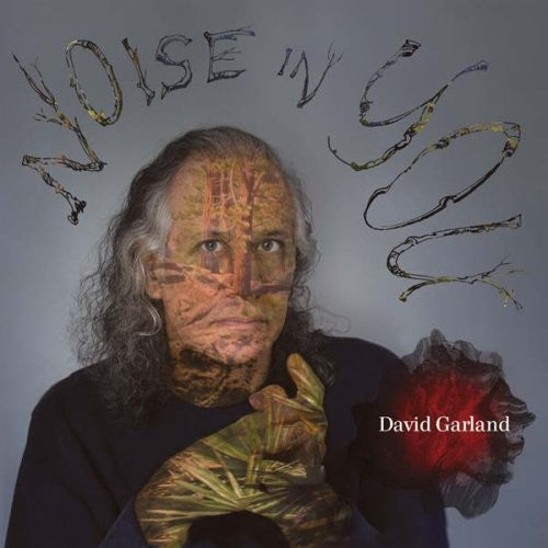 David Garland - Noise in You Music CD