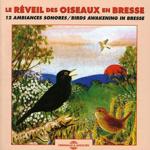 Oiseaux - Birds Awakening In Bresse Music CD