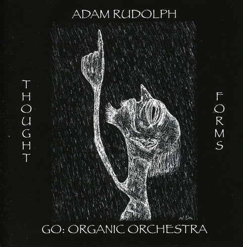 Adam Rudolph - Thought Forms-Go: Organic Orchestra Music CD