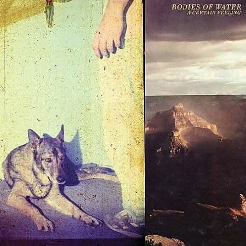 Bodies Of Water - A Certain Feeling Music CD