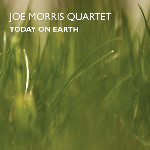 Joe Morris Trio (Guitar) - Today on Earth Music CD