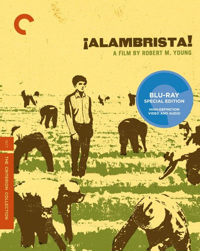 Criterion Collection - Alambrista/bd - Blu-ray