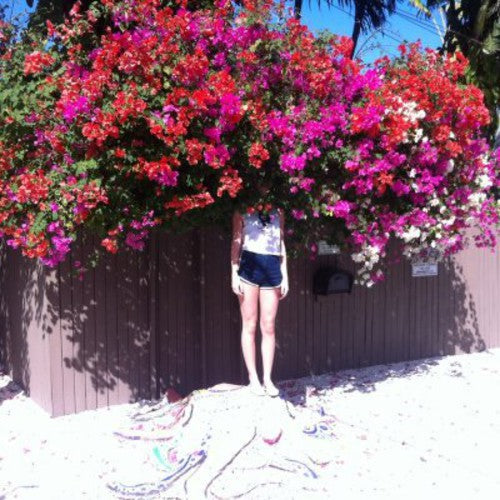 Elf Power - Sunlight on the Moon Music CD