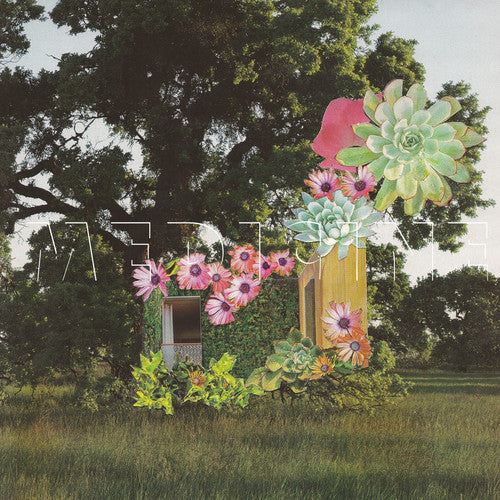 Medicine - Home Everywhere Music CD