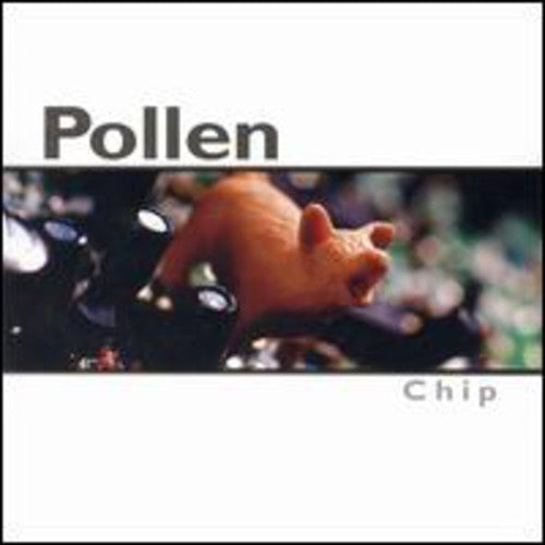 Pollen - Chip Music CD