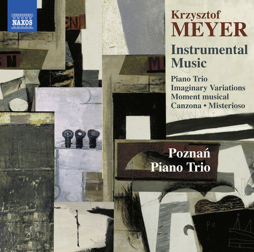 Meyer / Poznan Piano Trio - Meyer: Instrumental Music Music CD