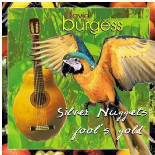 DAVID BURGESS - Silver Nuggets & Fool's Gold Music CD