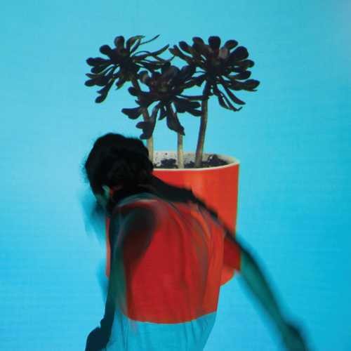 Local Natives - Sunlit Youth Music CD