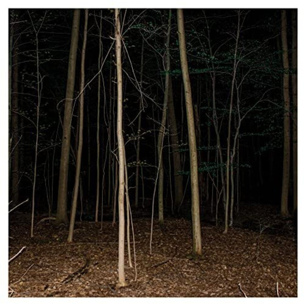 Express Rising - Fixed Rope Ii Music CD