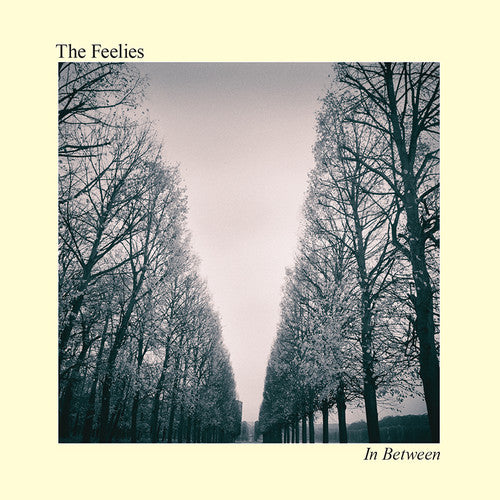 The Feelies - In Between Music CD
