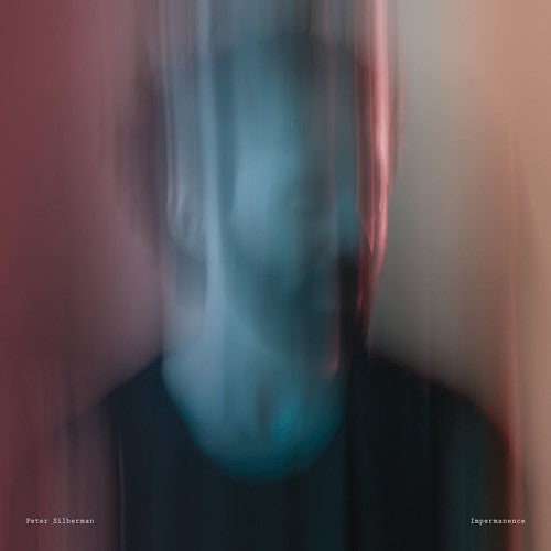 Peter Silberman - Impermanence Music CD