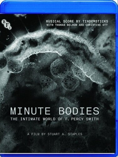 Minute Bodies - Minute Bodies - Blu-ray