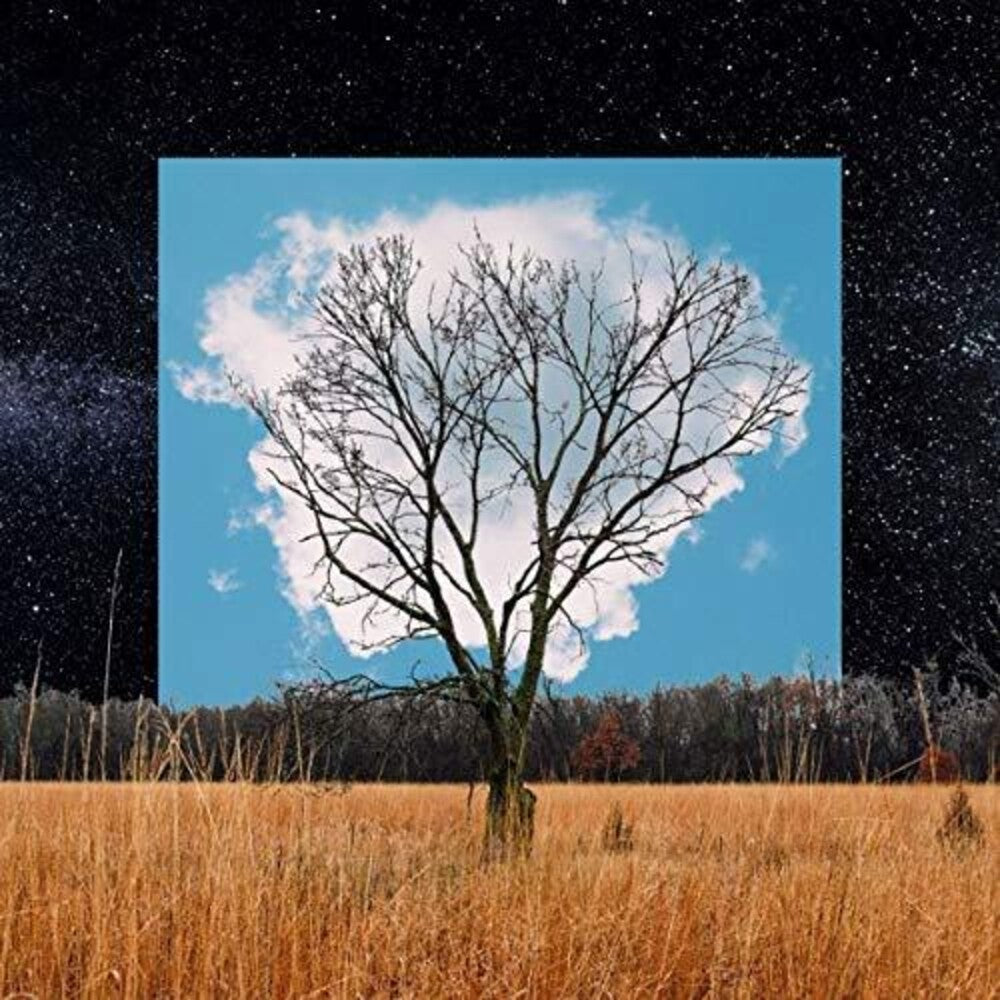 Fink - Bloom Innocent Music CD