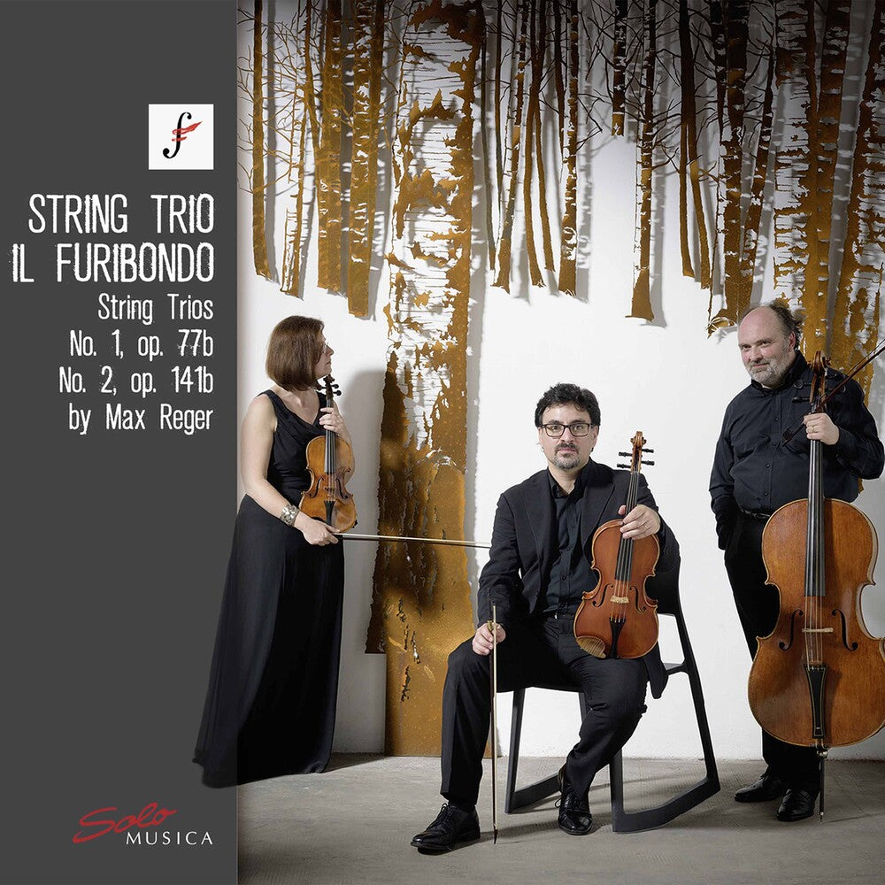 Reger / Furibondo - String Trios 1 Music CD
