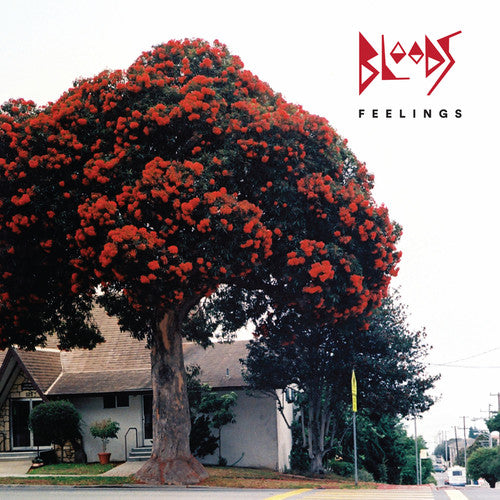 Bloods - Feelings Music CD