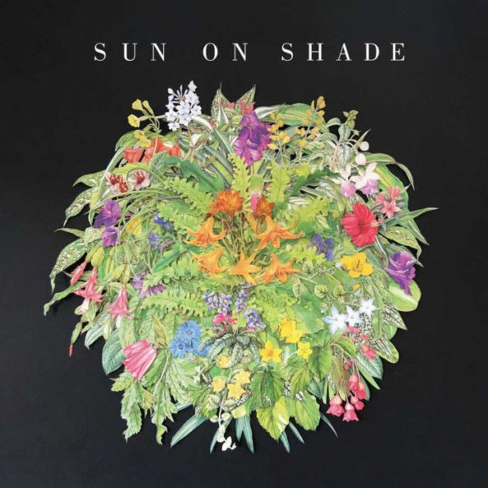 Sun On Shade - Sun On Shade Music CD