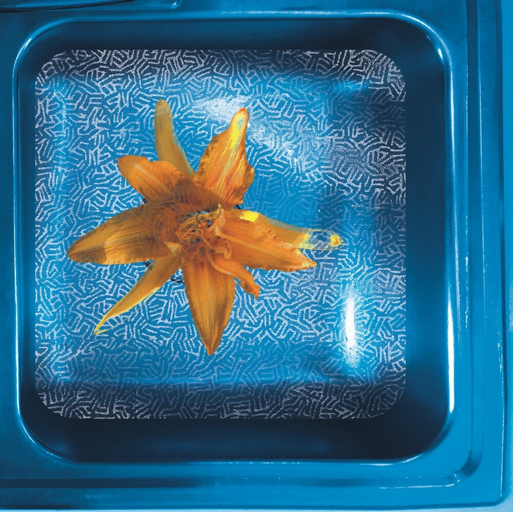 June Star - How We See It Now Music CD