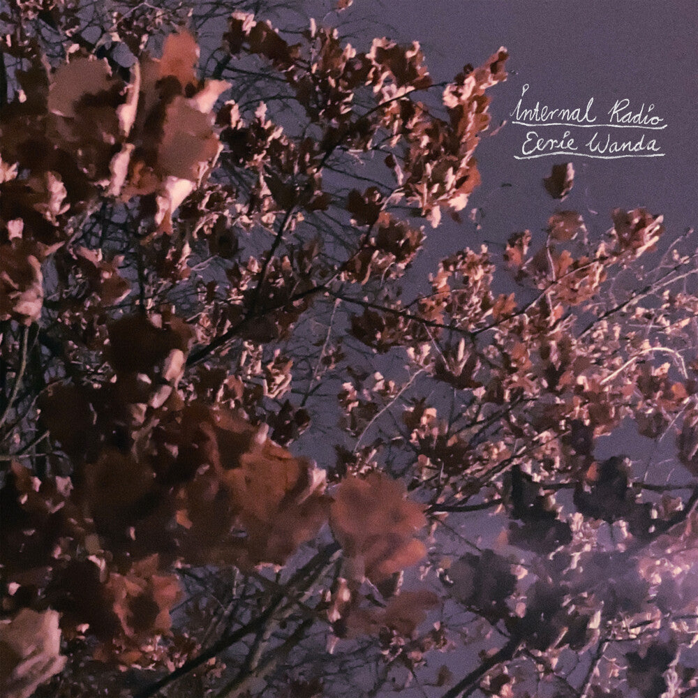 Eerie Wanda - Internal Radio Music CD