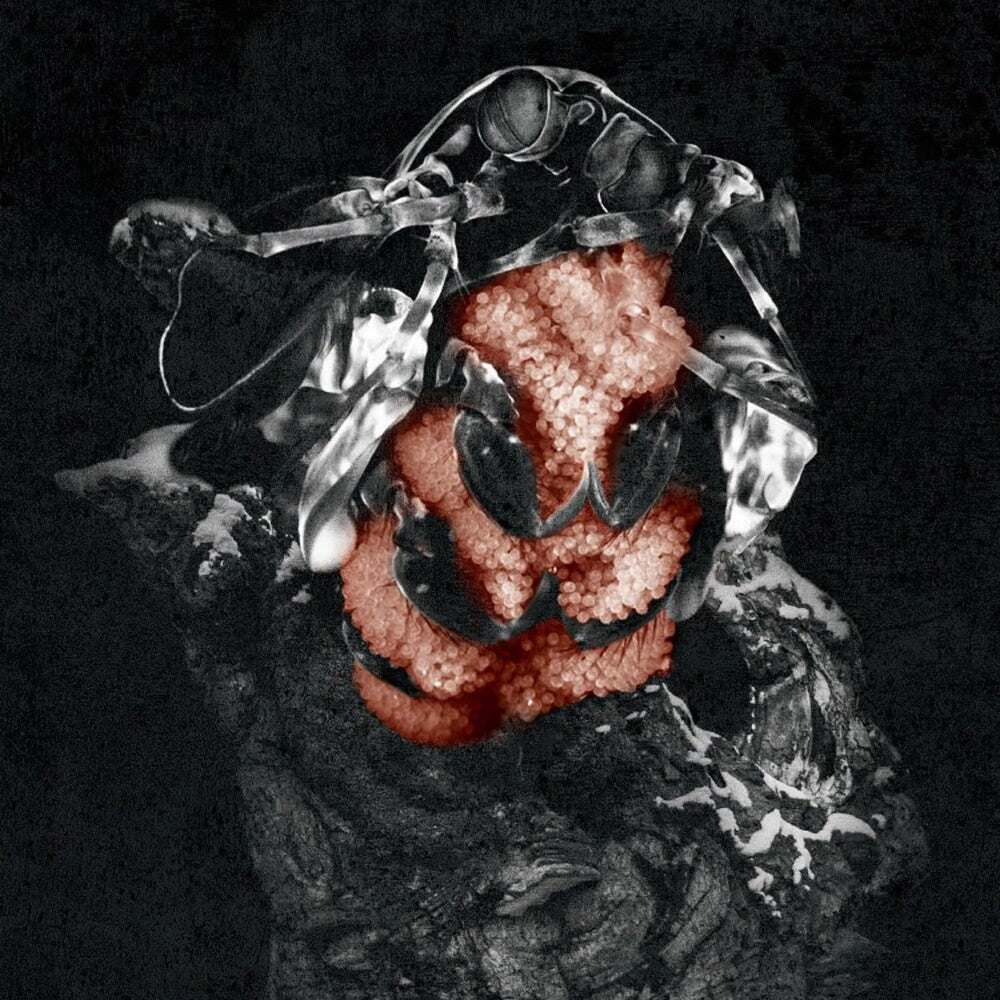 My Lonely Sea - Gloom (Can) Music CD