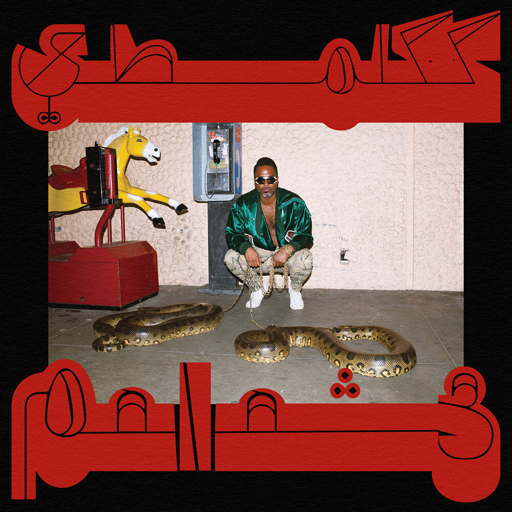 Shabazz Palaces - Robed In Rareness Music CD