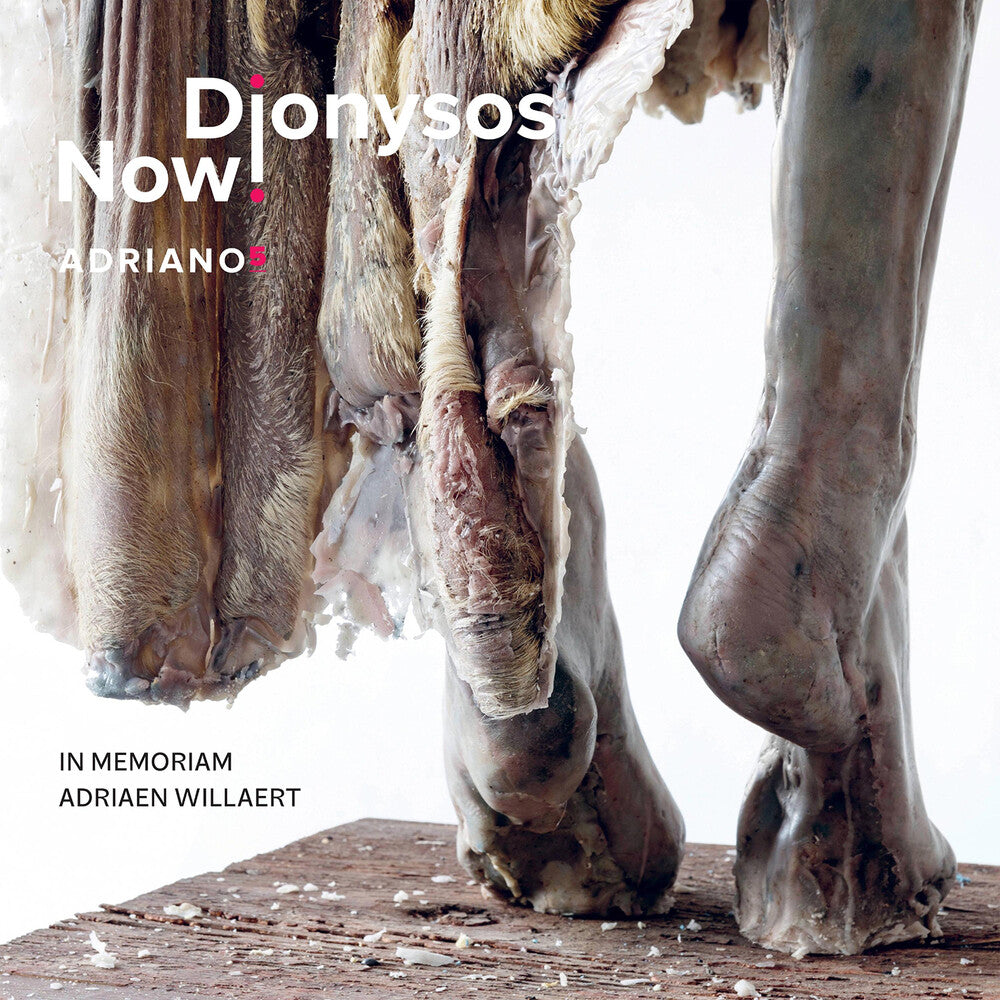 Dionysos Now - Adriano 5 Music CD