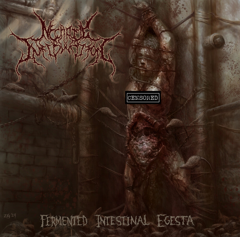 Necrotic Infibulation - Fermented Intestinal Egesta Music CD