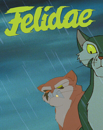 Felidae - Felidae - UHD
