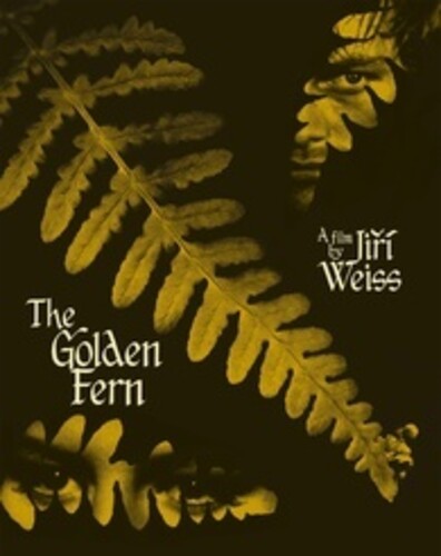 Golden Fern - Golden Fern - Blu-ray