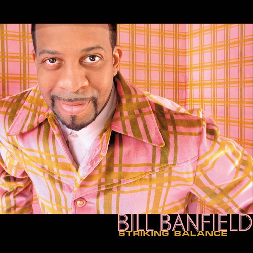 Bill Banfield - Striking Balance Music CD