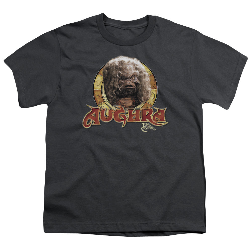The Dark Crystal Aughra Circle Kids Youth T Shirt Charcoal Officially Licensed