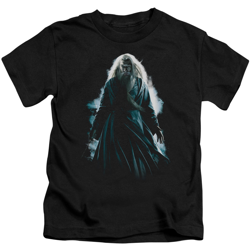 Harry Potter Dumbledore Burst Juvenile Kids Youth T Shirt Black Officially Licensed