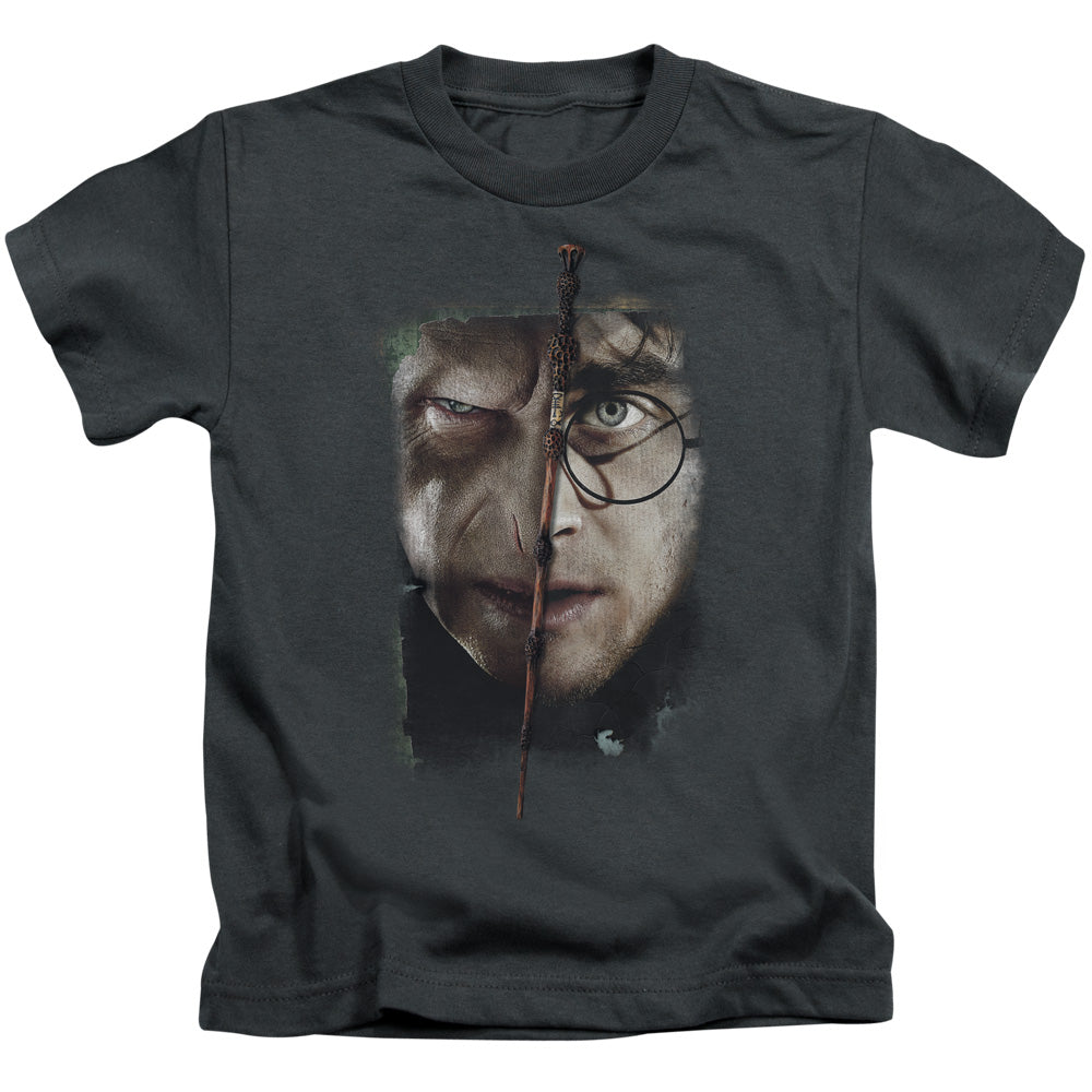 Harry Potter It All Ends Here Juvenile Kids Youth T Shirt Charcoal Officially Licensed