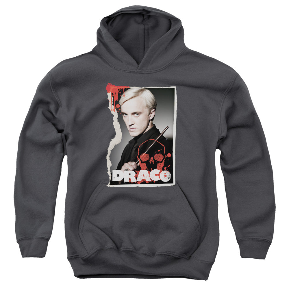 Harry Potter Draco Frame Kids Youth Hoodie Charcoal Officially Licensed