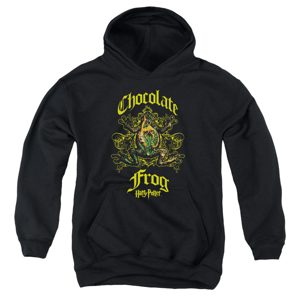 Harry Potter Chocolate Frog Kids Youth Hoodie Black Officially Licensed