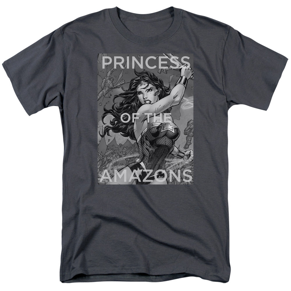 Justice League Of America Princess Of The Amazons Mens T Shirt Charcoal Officially Licensed