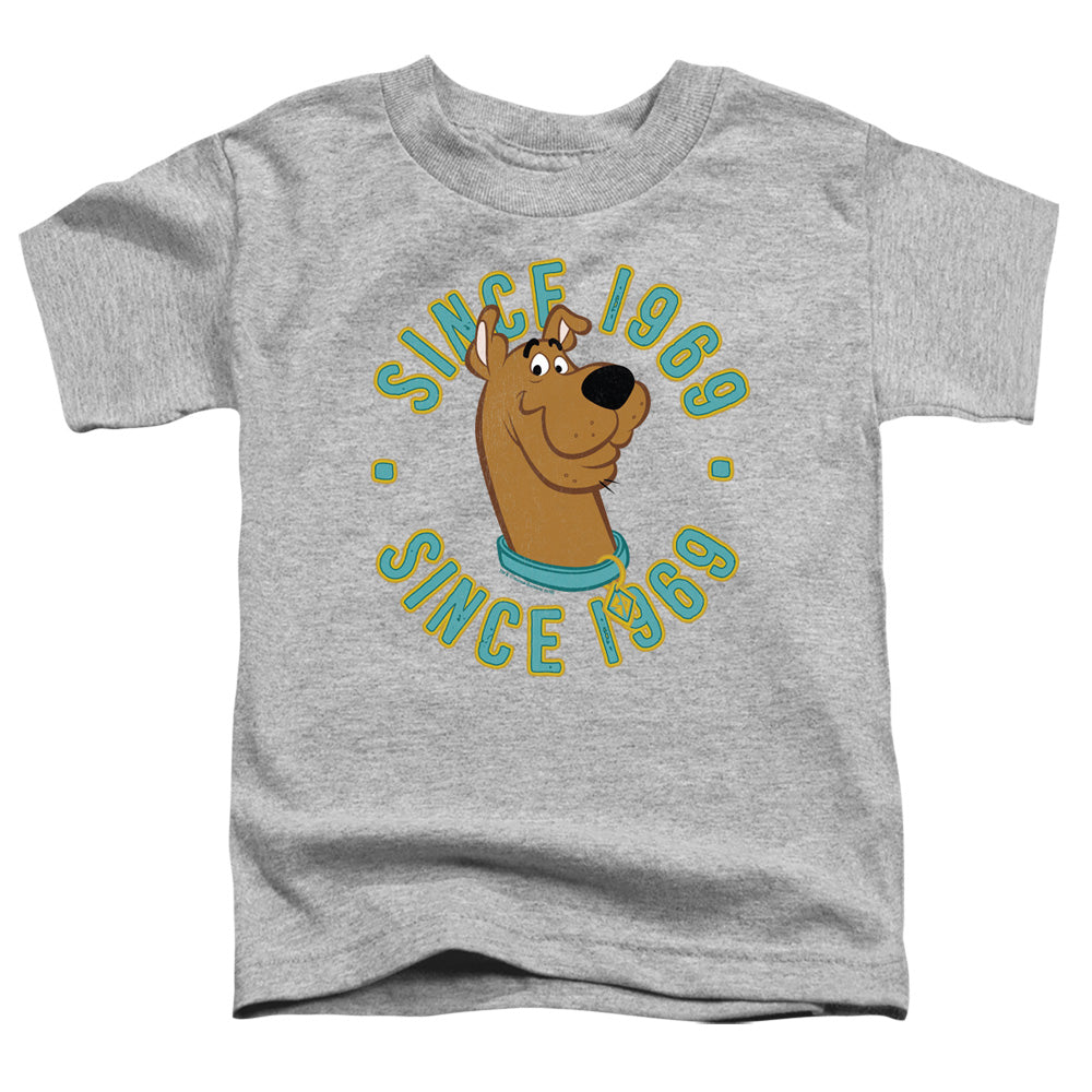 Scooby Doo Scooby 1969 Toddler Kids Youth T Shirt Athletic Heather Officially Licensed