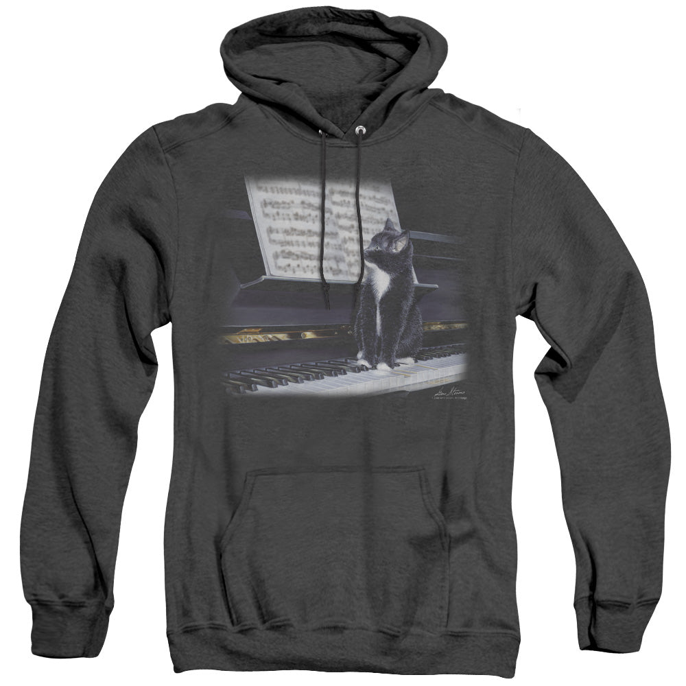 Wildlife Kitten On The Keys Heather Mens Hoodie Black