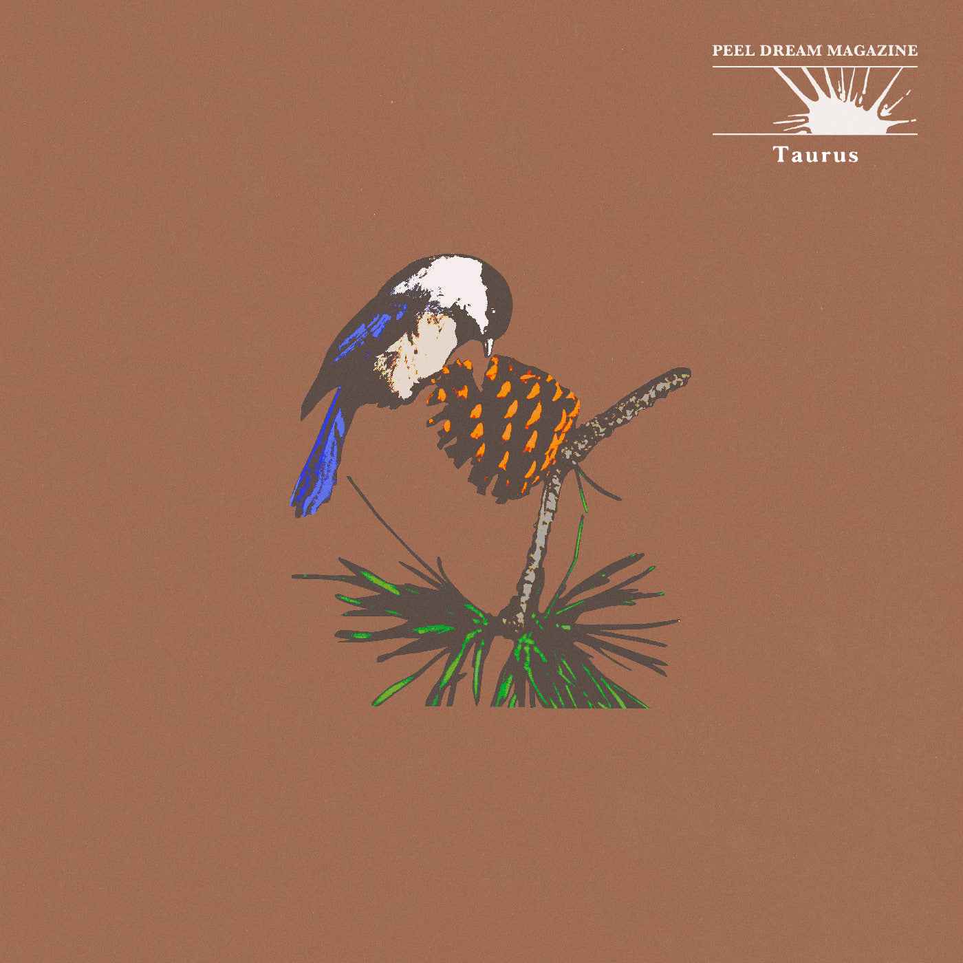 Taurus (Yellow Tinted Transparent Cassette)