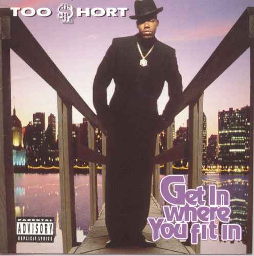 Get in Where Ya Fit in [CD]