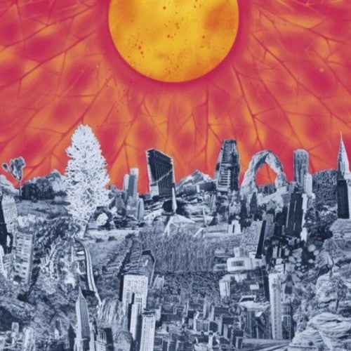 Mapmaker [LP]