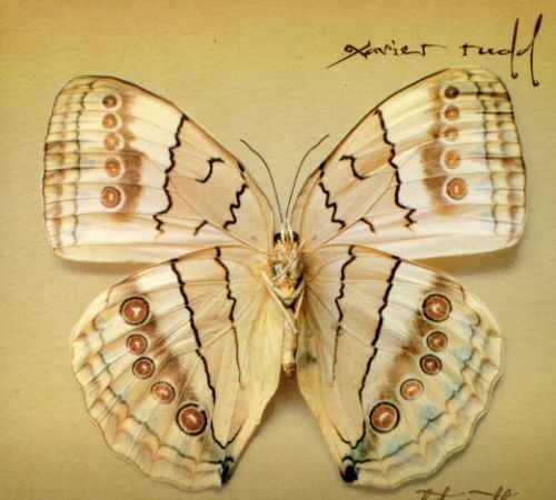 White Moth [CD]