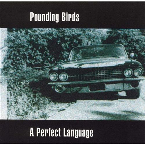 Pounding Birds - Perfect Language Music CD