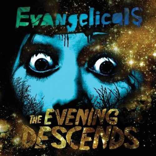 The Evening Descends [LP]