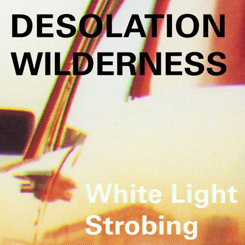 Desolation Wilderness - White Light Strobing Music CD