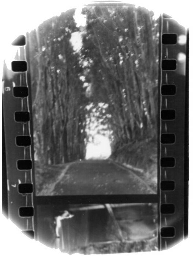 Seahaven - Winter Forever [LP] Vinyl Record