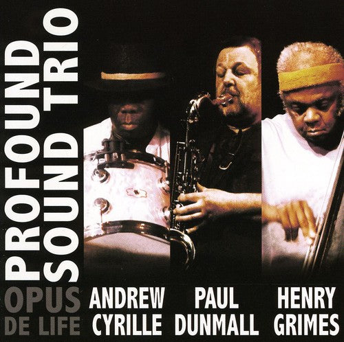 Profound Sound Trio - Opus de Life [CD]