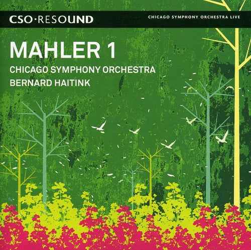Symphony No 1 [CD]