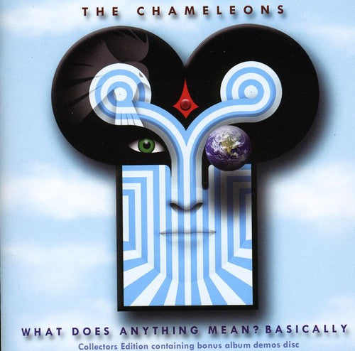 What Does Anything Mean? Basically [Import]