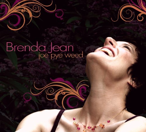Brenda Jean - Joe Pye Weed Music CD